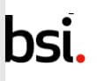 Sydney-Team-Building-Activities-BSI Sydney-Team-Building-Activities-BSI